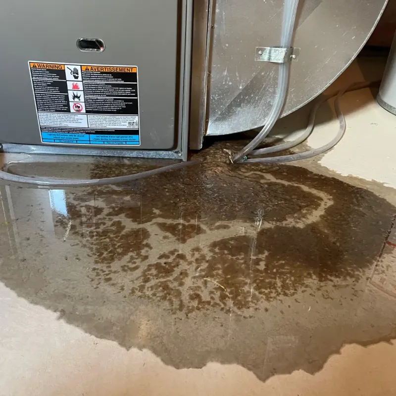 Appliance Leak Cleanup in Colbert County, AL